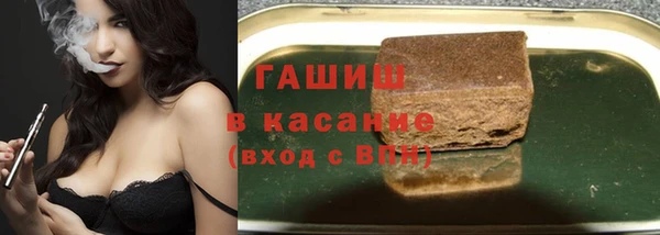 прущие грибы Краснотурьинск