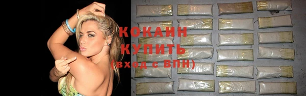 прущие грибы Краснотурьинск