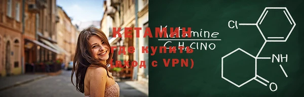 прущие грибы Краснотурьинск