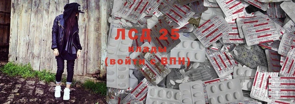 прущие грибы Краснотурьинск