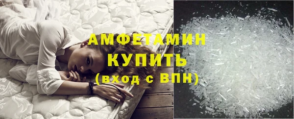 прущие грибы Краснотурьинск