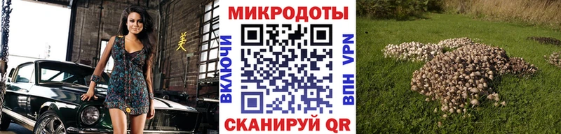 купить наркотик Кохма Галлюциногенные грибы Psilocybine cubensis